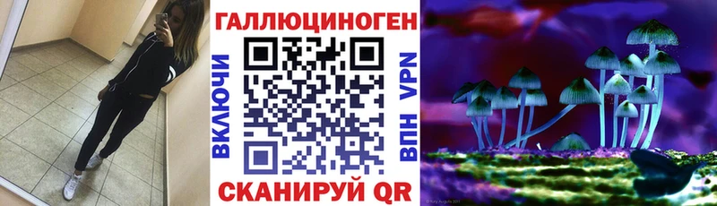 Псилоцибиновые грибы мухоморы  где купить наркоту  Челябинск 